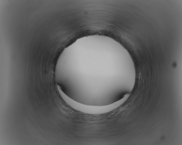 X0000094320868200711241805