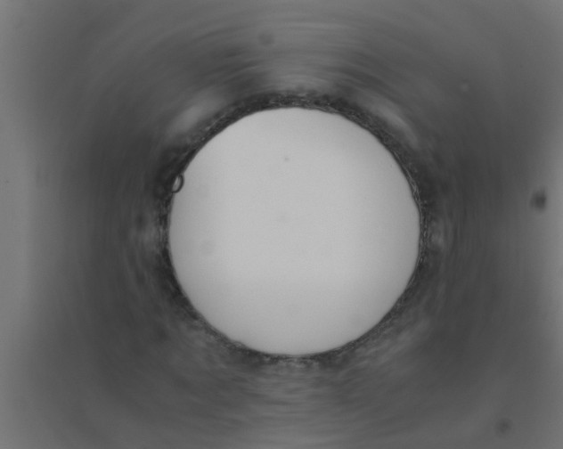 X0000094320869200711241805