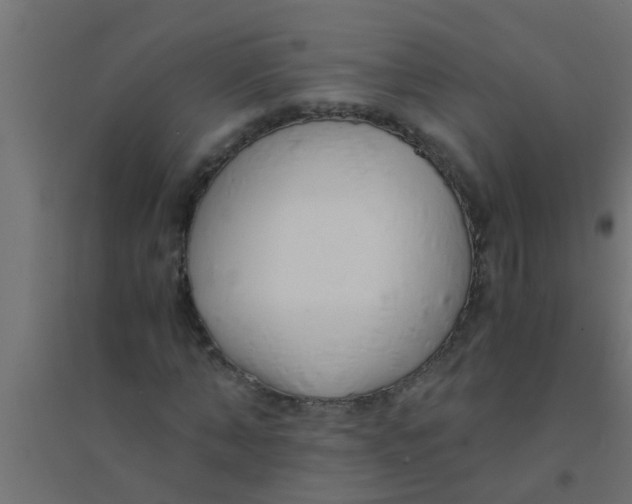 X0000094320870200711241805