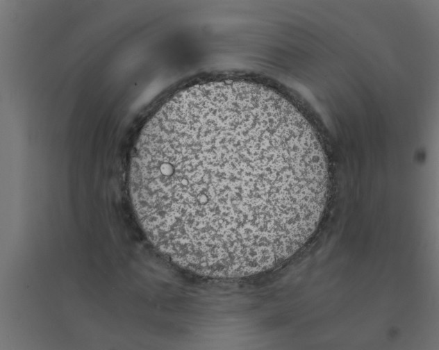 X0000094320871200711241805