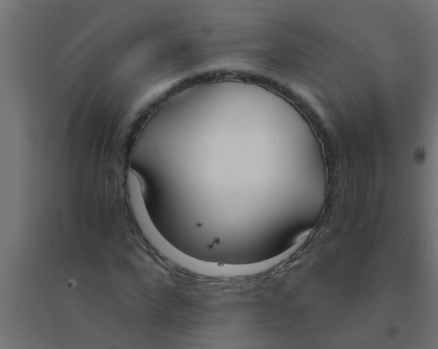 X0000094320872200711241805