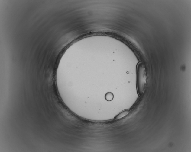 X0000094320873200711241805