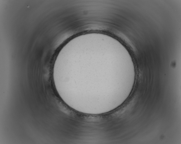X0000094320874200711241805
