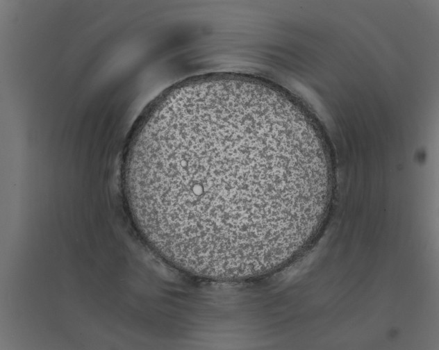 X0000094320875200711241805