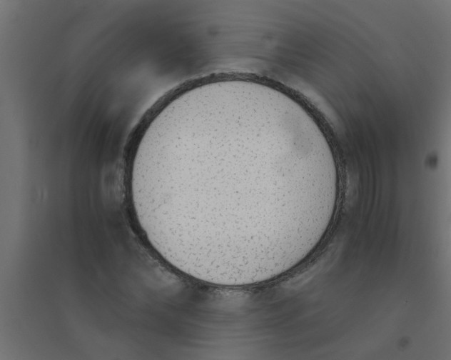 X0000094320878200711241805