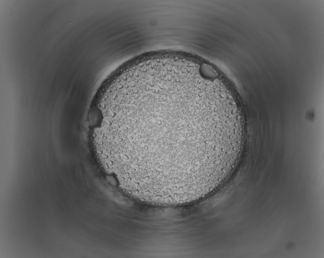 X0000094320879200711241805
