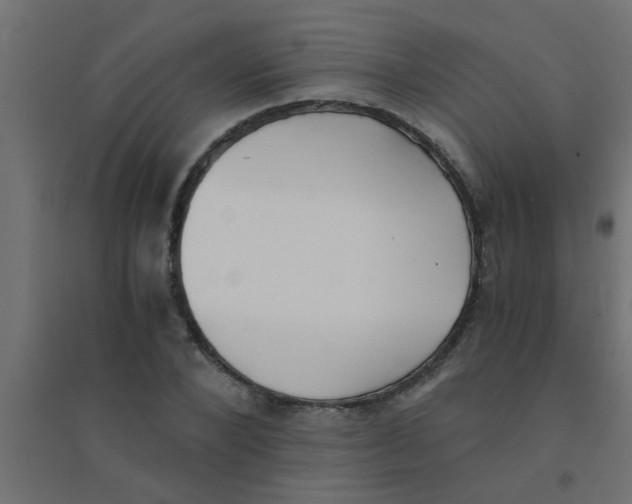 X0000094320880200711241805
