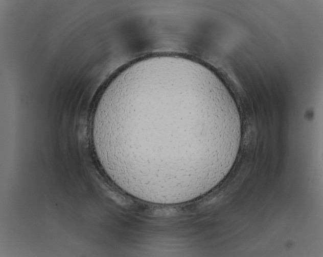 X0000094320882200711241805