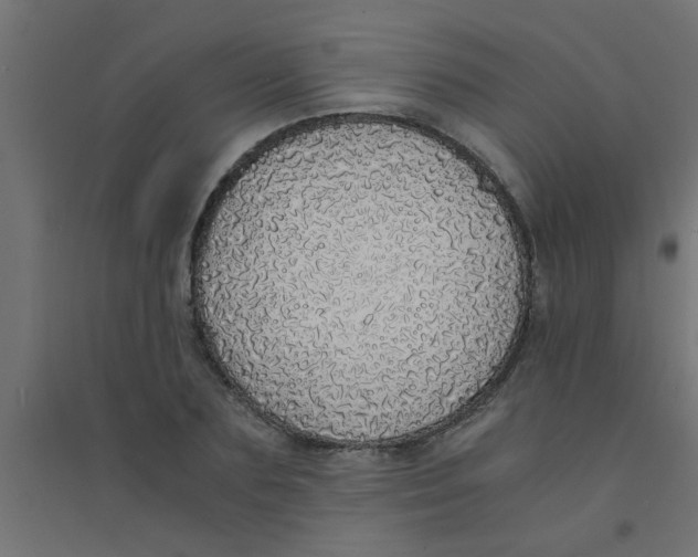 X0000094320883200711241805