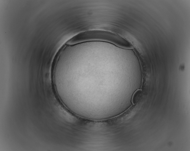 X0000094320884200711241805