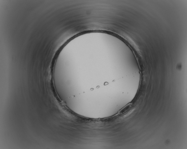 X0000094320885200711241805