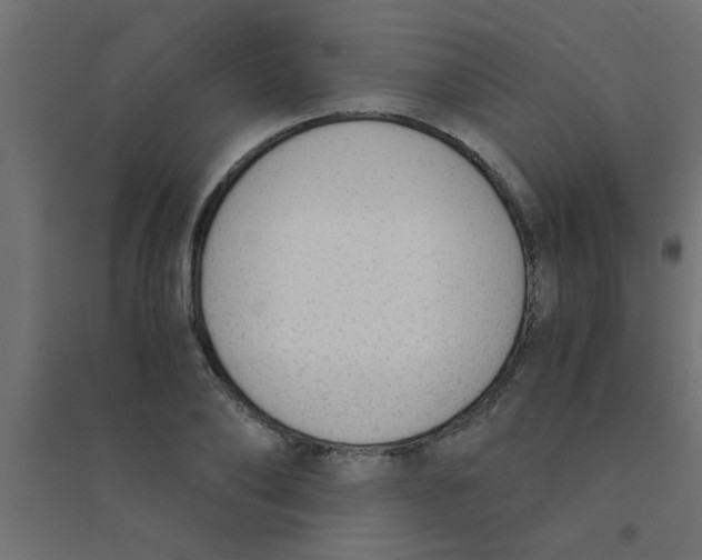 X0000094320886200711241805