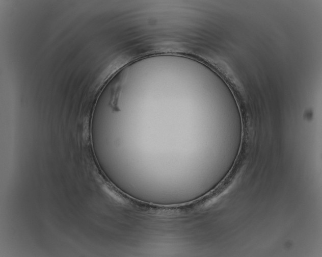 X0000094320889200711241805