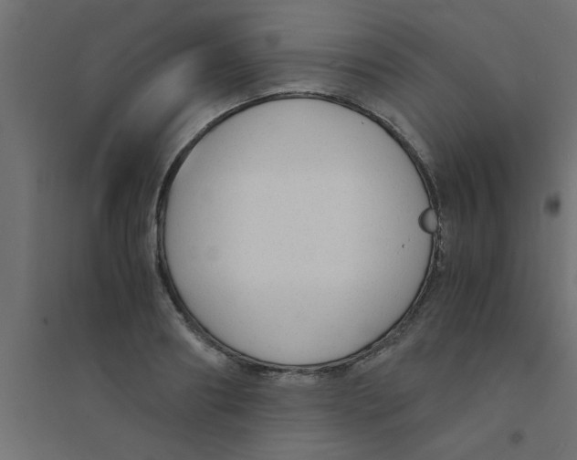 X0000094320890200711241805