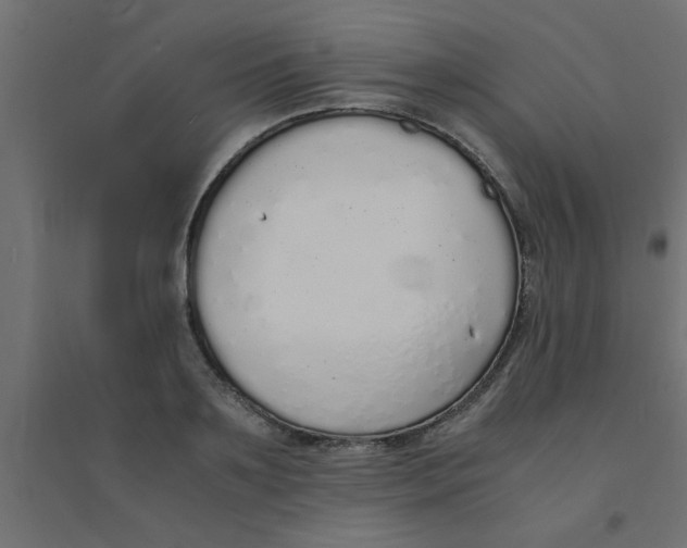 X0000094320891200711241805