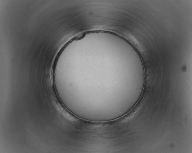 X0000094320892200711241804