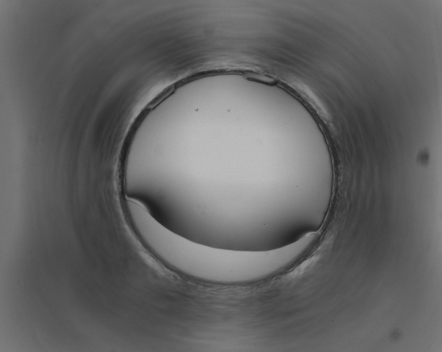 X0000094320893200711241804
