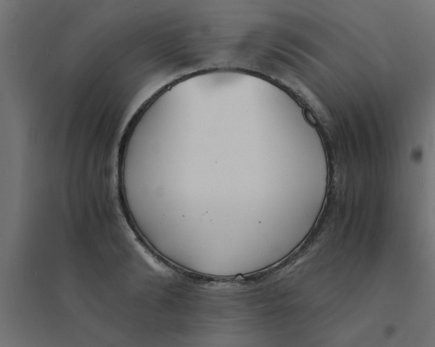 X0000094320894200711241804