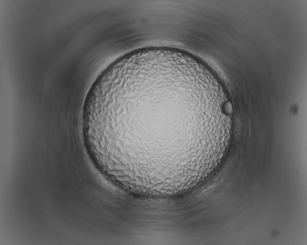 X0000094320895200711241804