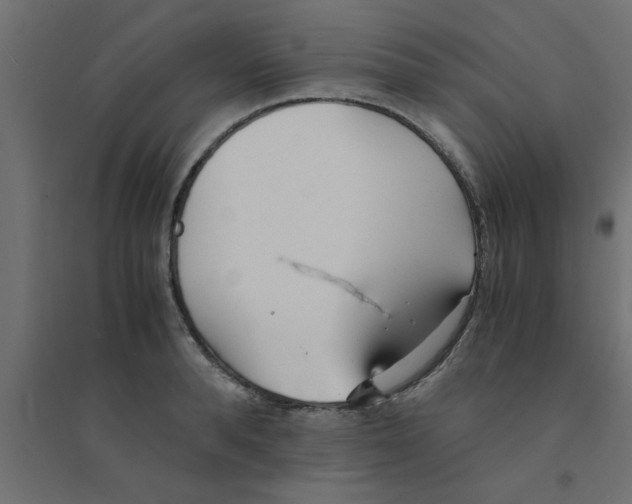 X0000094320896200711241804