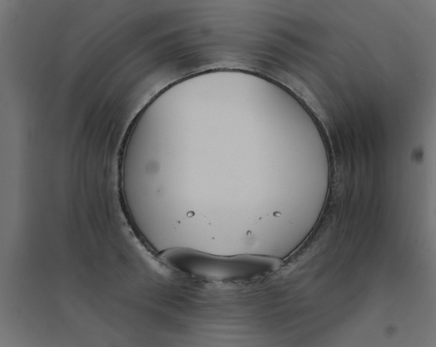 X0000094320898200711241804