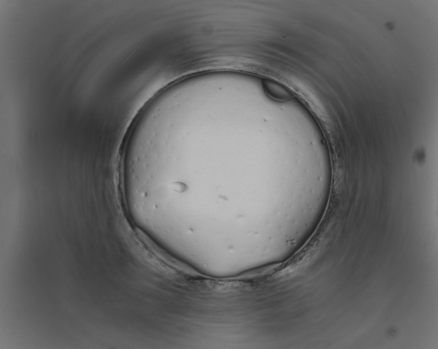 X0000094320899200711241804