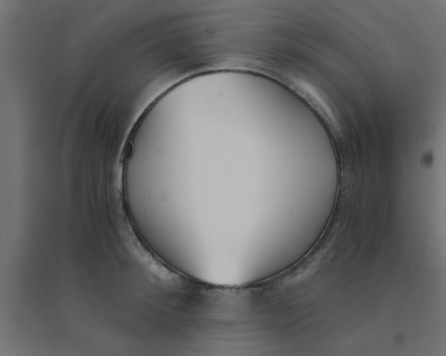 X0000094320900200711241804
