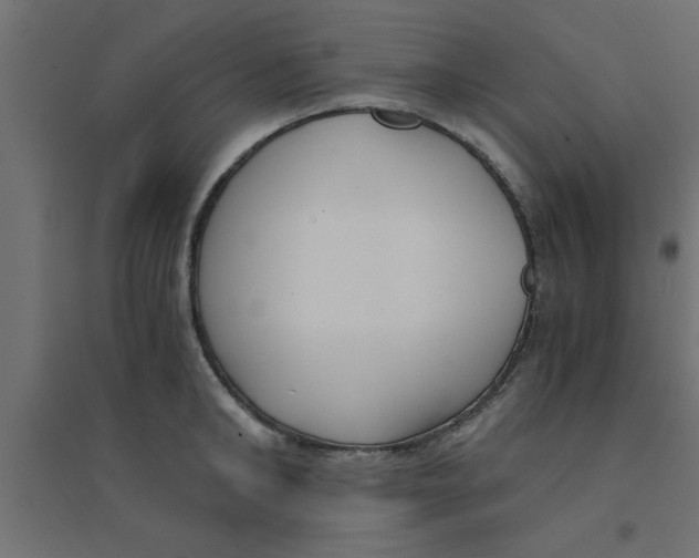 X0000094320902200711241804