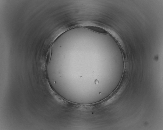 X0000094320905200711241804