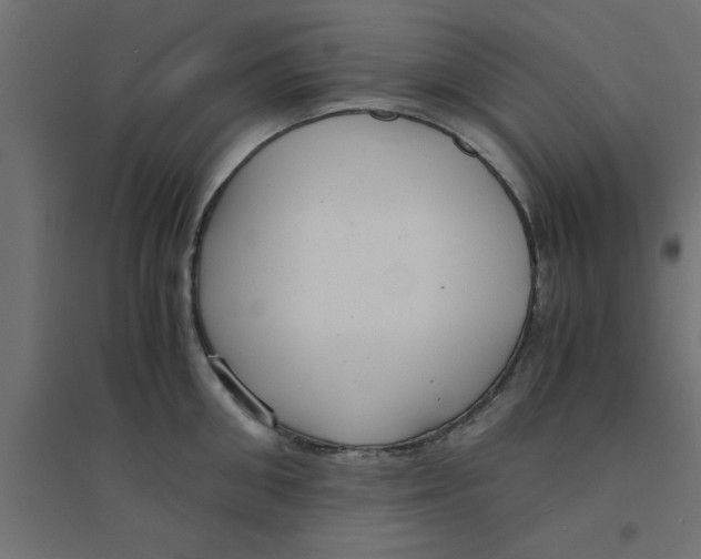 X0000094320906200711241804