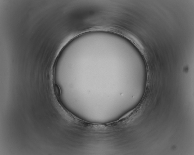 X0000094320907200711241804