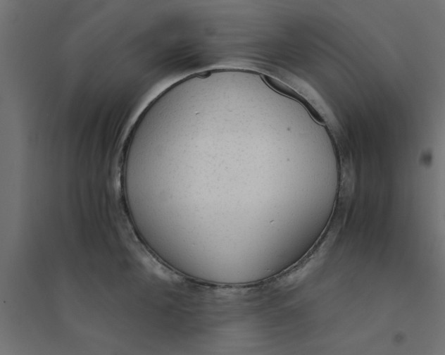X0000094320908200711241804