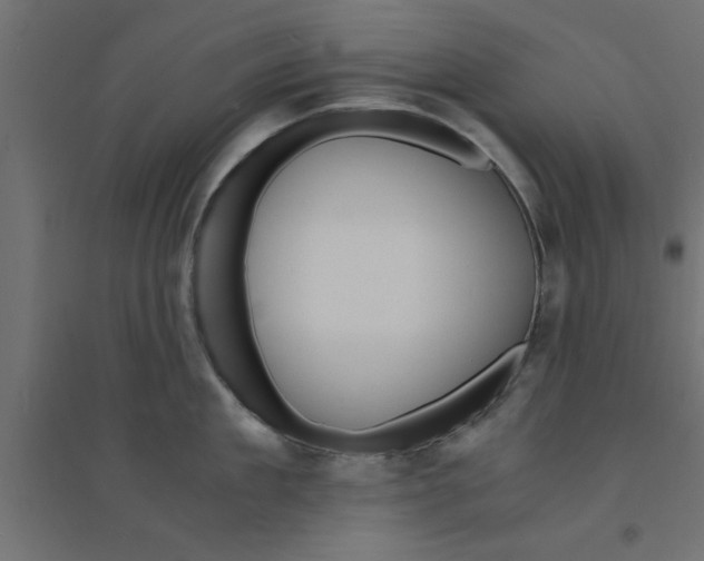 X0000094320909200711241804