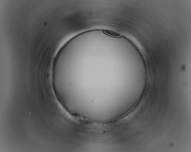 X0000094320910200711241804