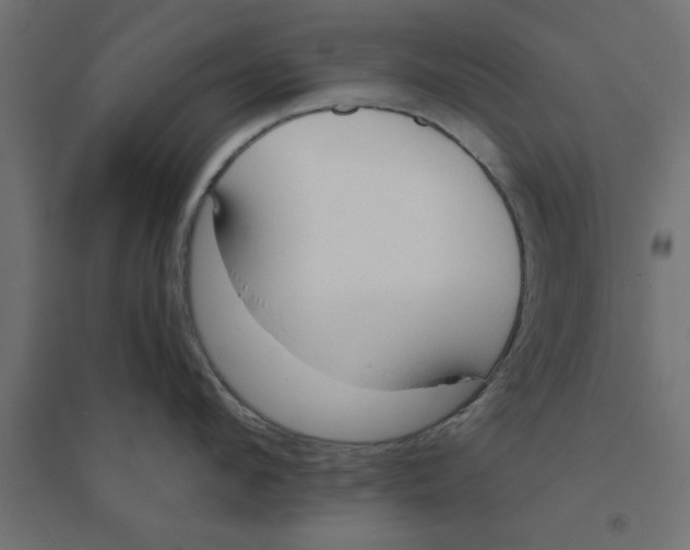 X0000094320912200711241804
