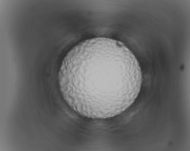 X0000094320913200711241804
