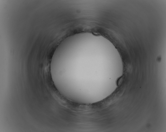 X0000094320914200711241804