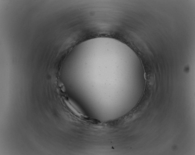 X0000094320916200711241804