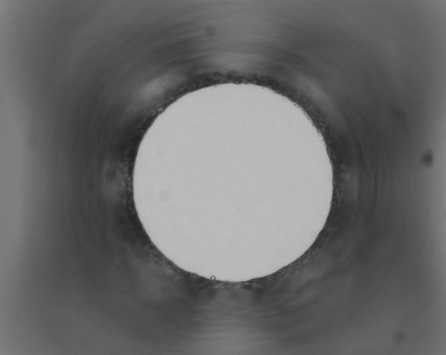 X0000094320918200711241804
