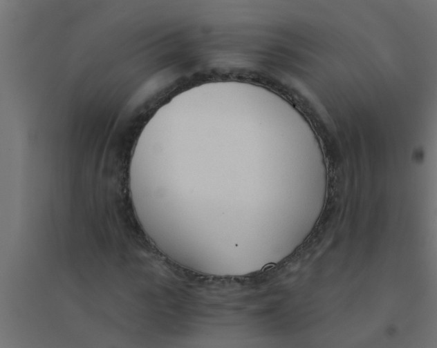 X0000094320919200711241804