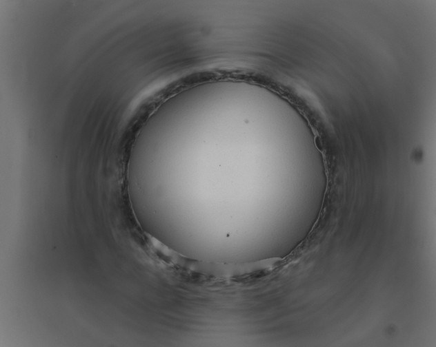 X0000094320920200711241804