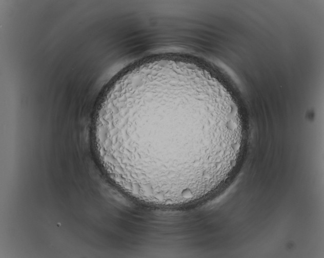 X0000094320921200711241804