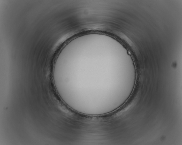 X0000094320922200711241804