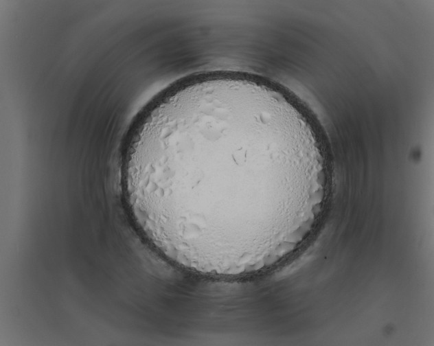 X0000094320925200711241804