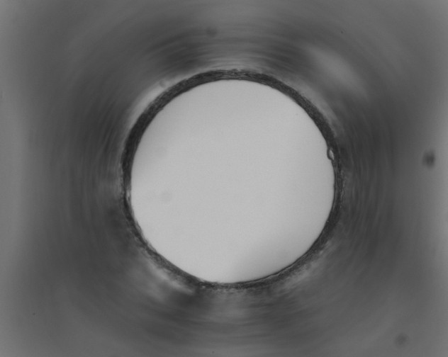 X0000094320927200711241804