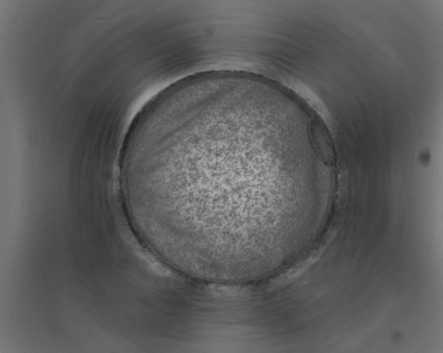 X0000094320928200711241804