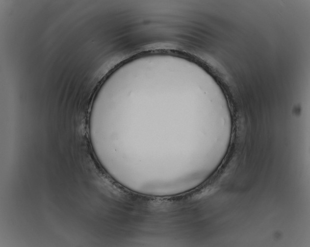 X0000094320929200711241804