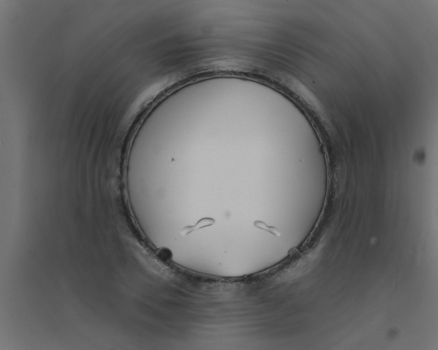 X0000094320930200711241804