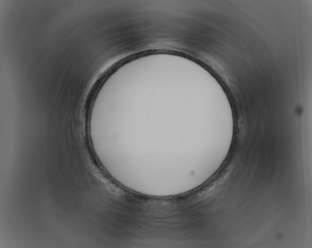 X0000094320931200711241804