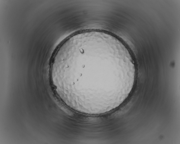 X0000094320933200711241804